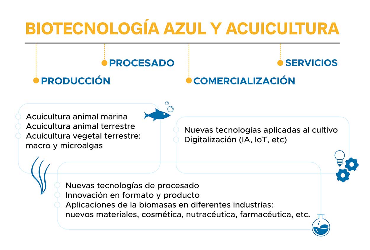 Sectores